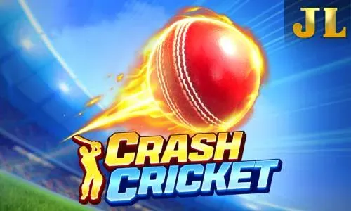 Crash Cricket game